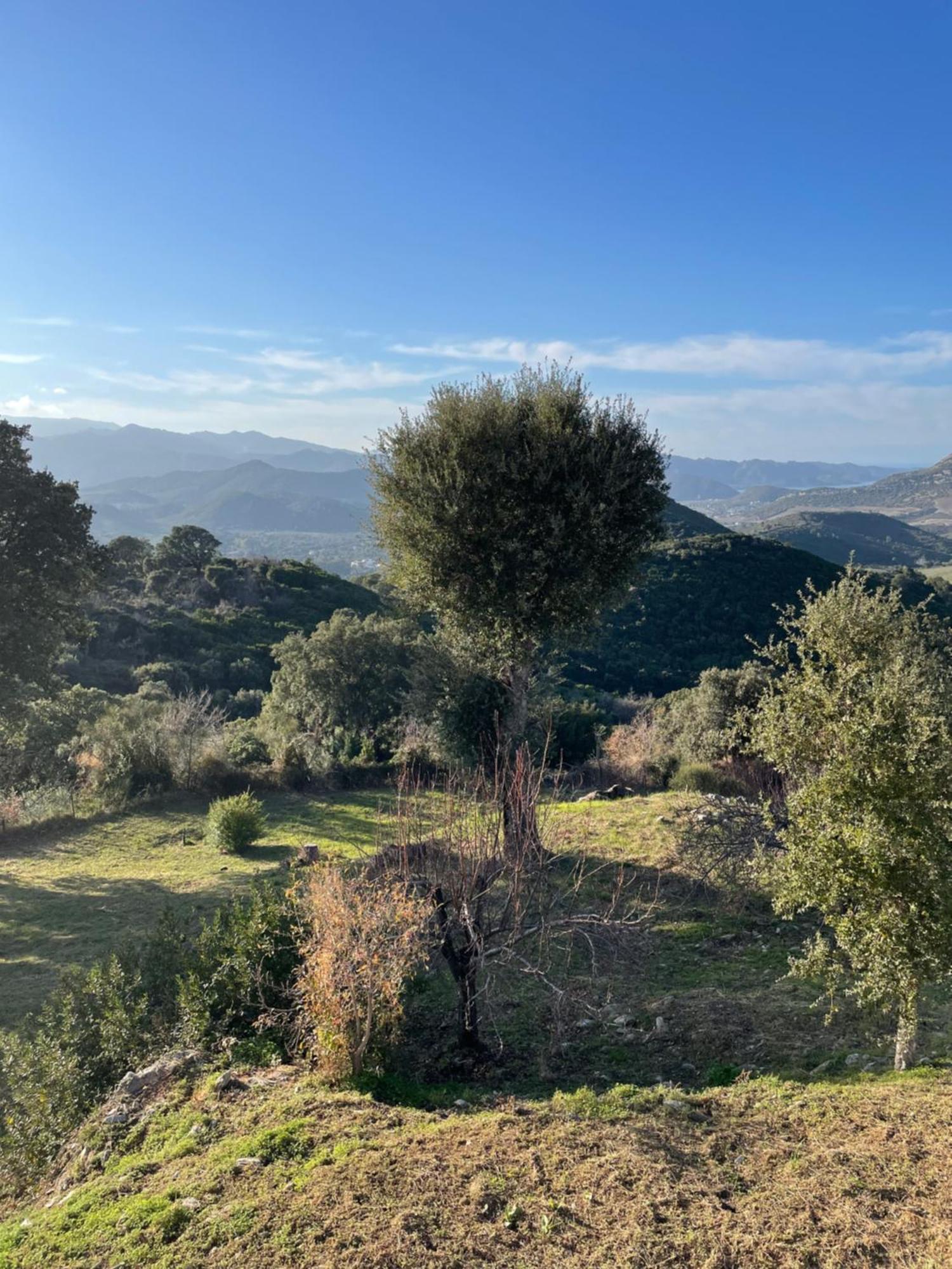 Casa Di Cajucan Poggio-d'Oletta 외부 사진